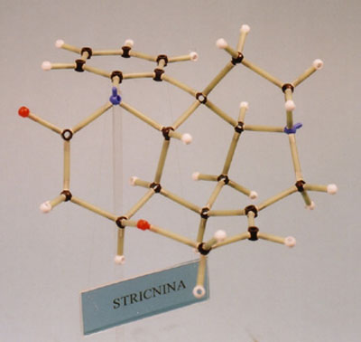 2355 modello molecolare-stricnina