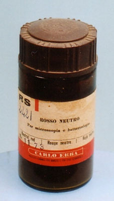 2552 rosso neutro